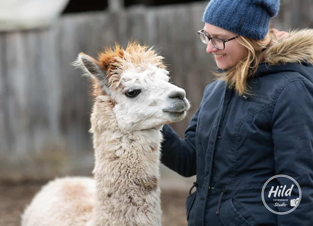 Coaching mit Lamas und Alpakas