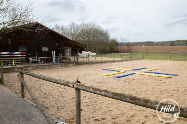 Reitplatz Gestüt im Weidig