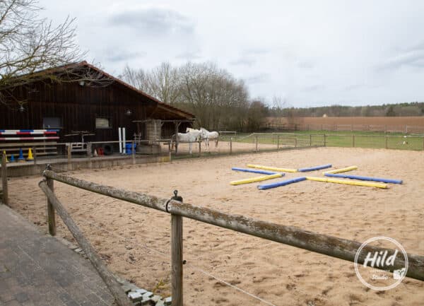 Reitplatz Gestüt im Weidig