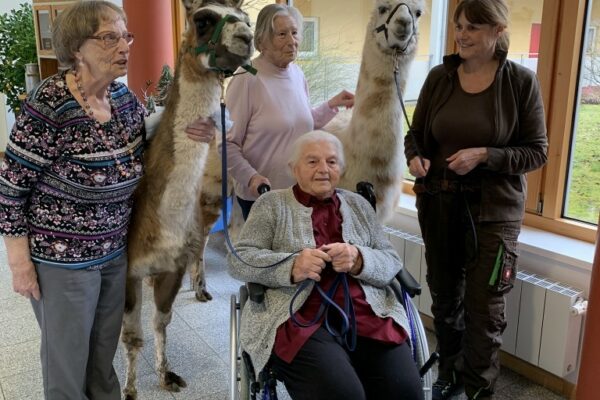 Gruppenbild-Lamas-Seniorenheim (Medium)