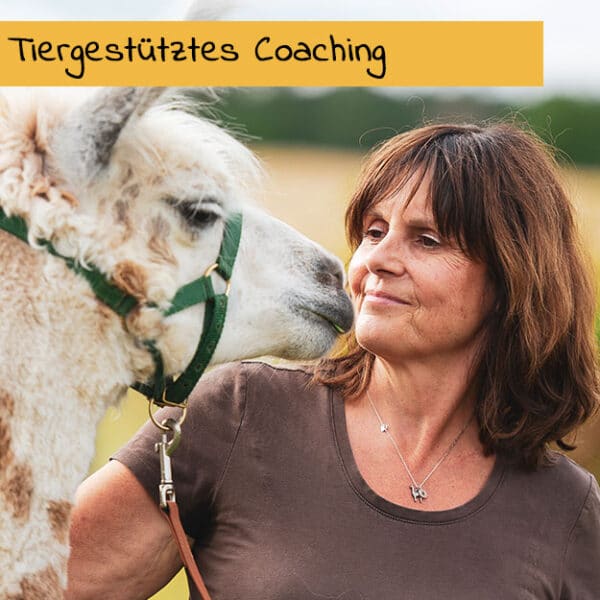 Tiergestützes Coaching mit Alpakas und Lamas