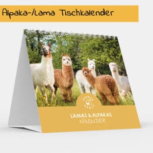 Lama/Alpaka-Tischkalender 