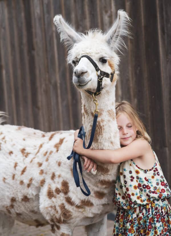 Tiergestützte Therapie mit Kindern Lama