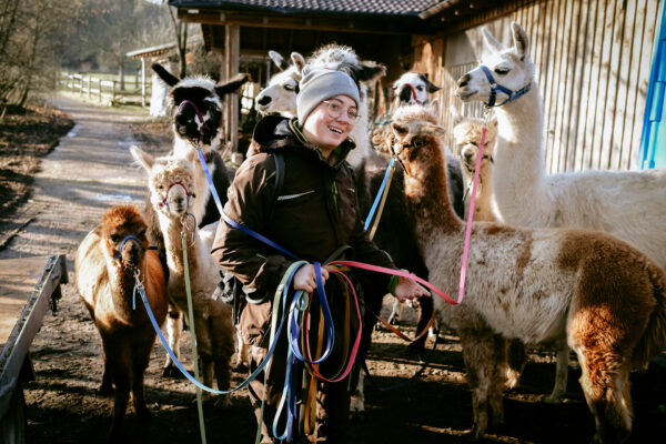 Alpaka führen lernen