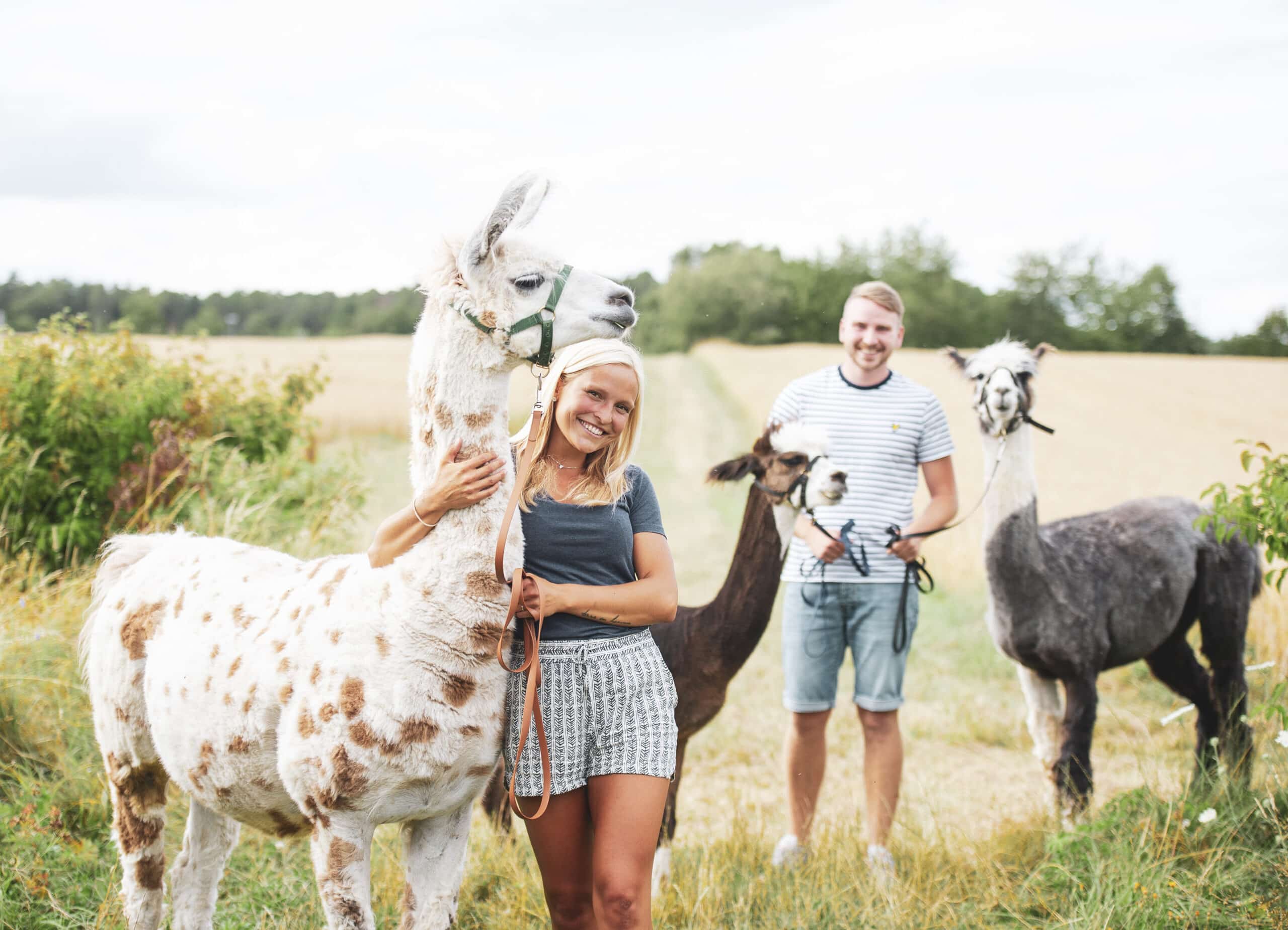 Das perfekte Geschenk zum Muttertag: Ein unvergessliches Abenteuer mit unseren Alpakas und Lamas!