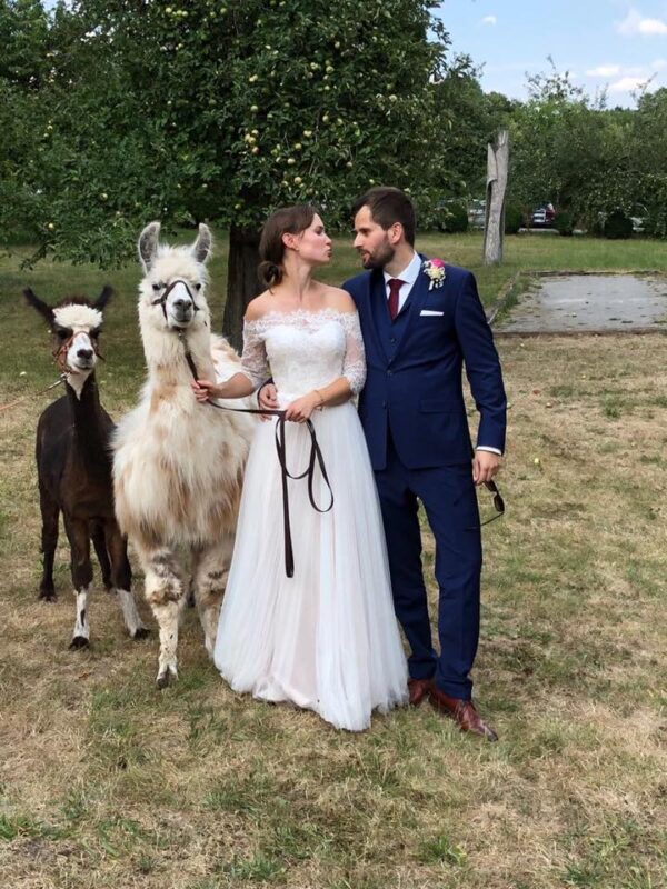 Hochzeitsshooting-mit-Lama-Alpaka