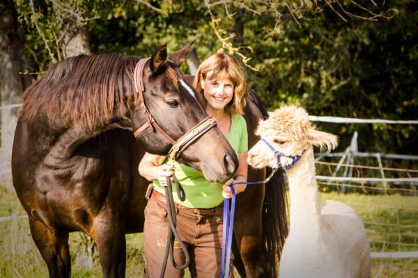 Tiergestützte Therapie mit Pferden, Alapaks und Lamas