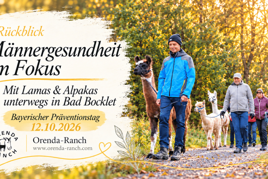 Alpakawanderung mit Männern