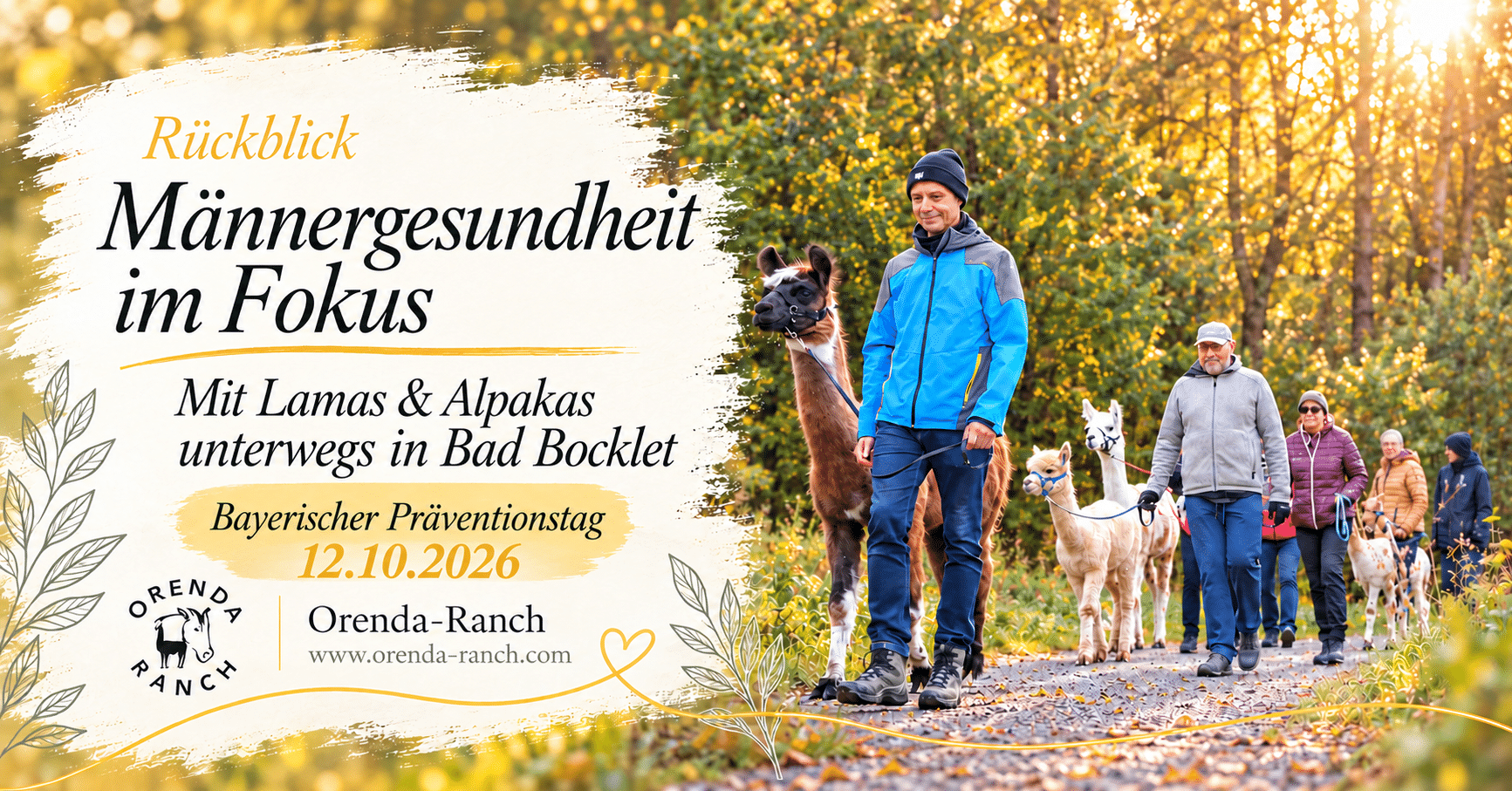 Männergesundheit: Lama-/Alpakawanderung in Bad Bocklet