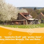 Orenda-Ranch-Postkarte-Vorderseite